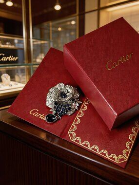 💙Cartier brooch
